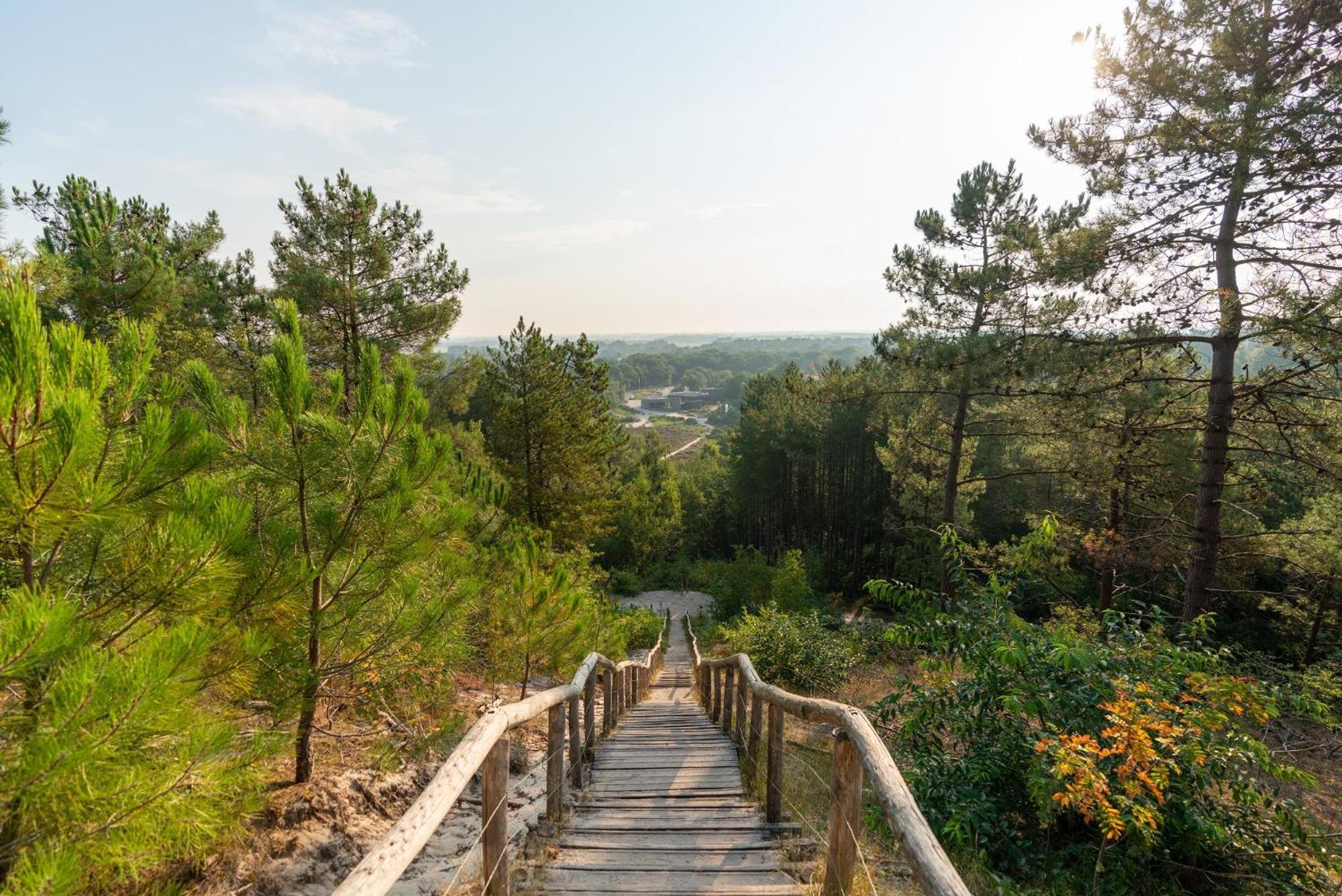 Park Heerehof Otel Schoorl Dış mekan fotoğraf